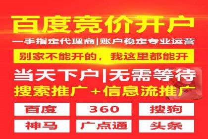 sem竞价托管代运营——广告优化的典范案例